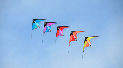 Kites on the Coast (March 13-15) Event